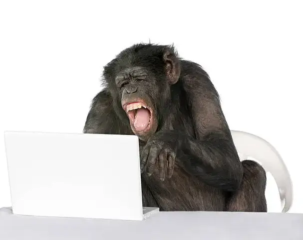 computer-monkey.PNG