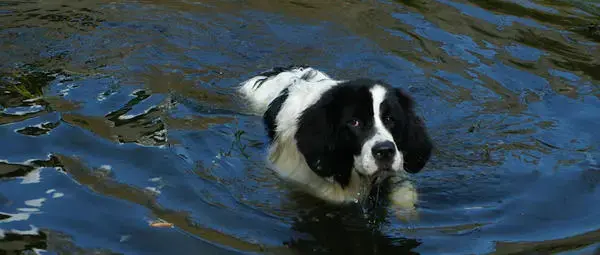 Die Kleine.webp