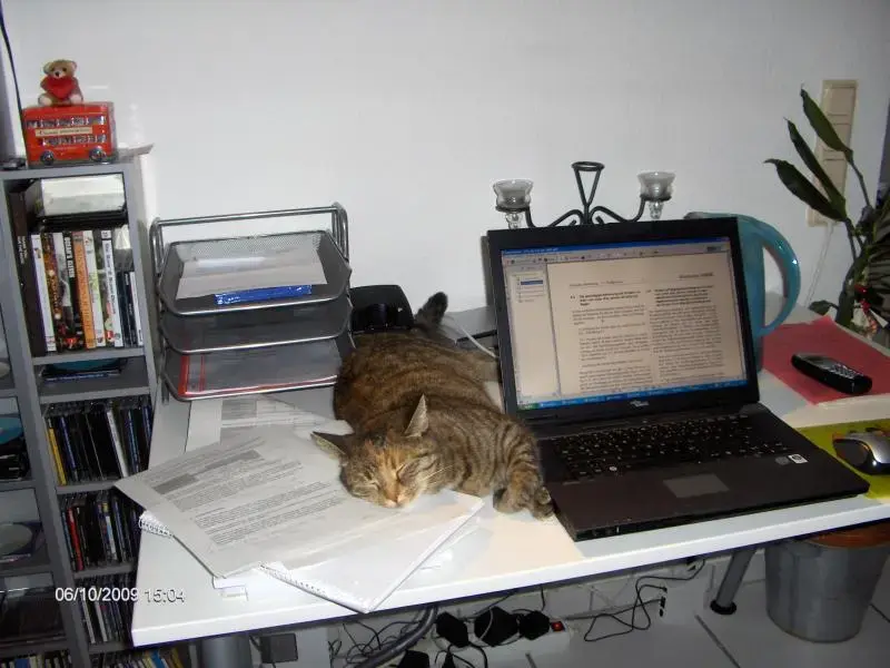 Homeoffice.webp