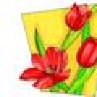 Bigi