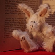Hase