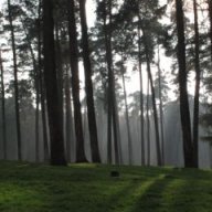 Söfchen