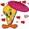 Tweety81