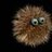 furball