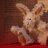Hase