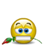 smiley3455.gif